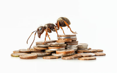 La Cigale et les Fourmis